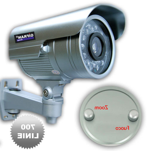 Telecamera di Videosorveglianza varifocale 4-9 mm CCD II Sony Effio